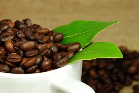 Употребление кофеина Употребление кофеина