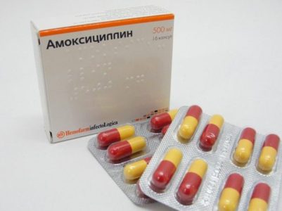 Виды препаратов Виды препаратов